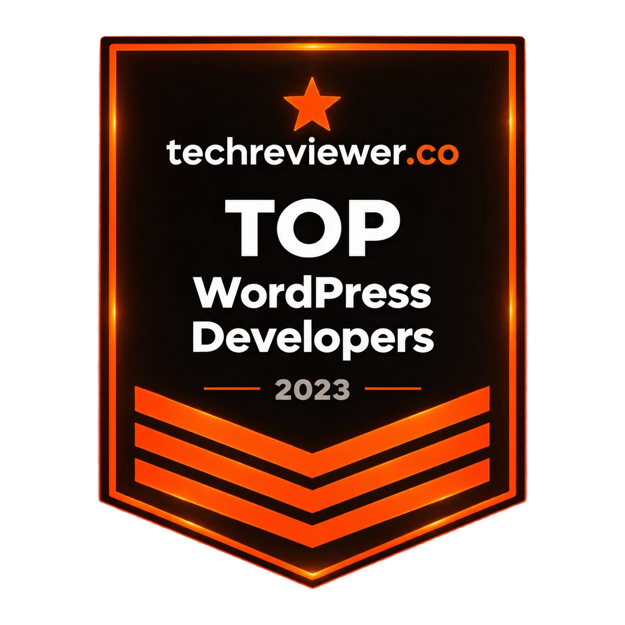 TechReviewer Top WordPress Developer